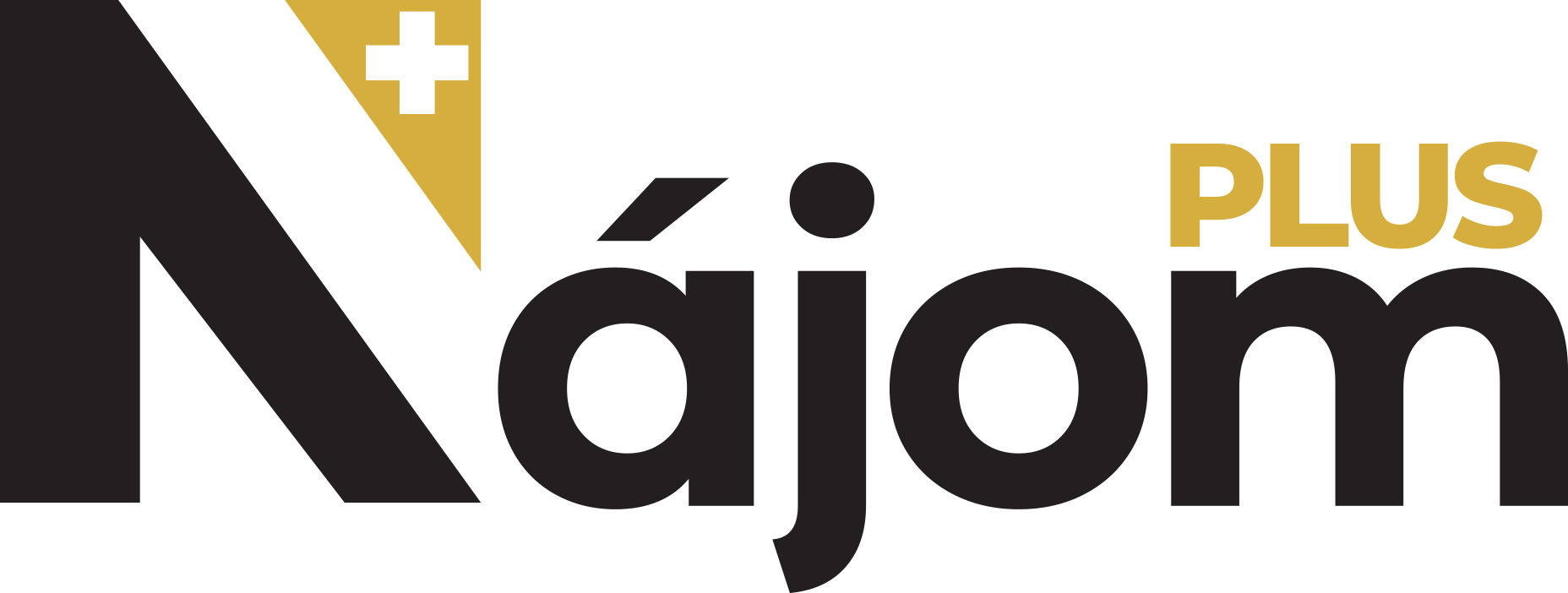 Logo Nájom plus+